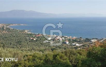 ASSOS'DA MUHTEŞEM KALİTEDE 1+1 SATILIK DUBLEKS 'ler