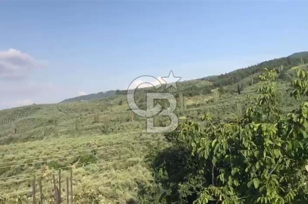 İznik Gölü Manzaralı Satılık İmarlı Arsa