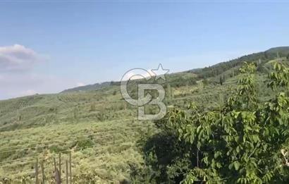 İznik Gölü Manzaralı Satılık İmarlı Arsa