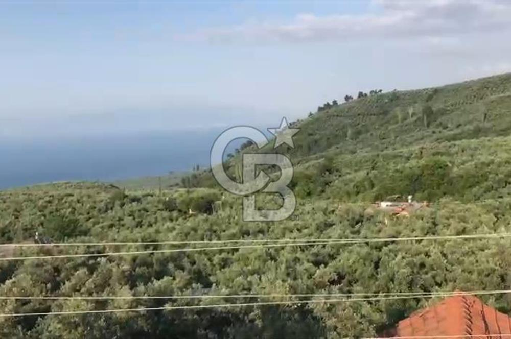 İznik Gölü Manzaralı Satılık İmarlı Arsa
