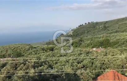 İznik Gölü Manzaralı Satılık İmarlı Arsa