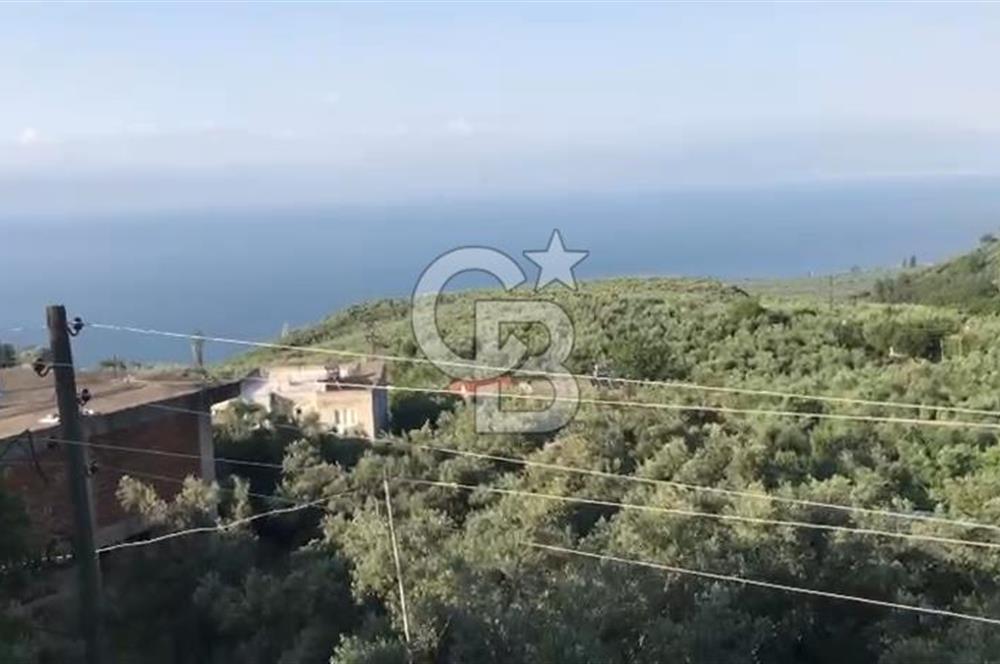 İznik Gölü Manzaralı Satılık İmarlı Arsa
