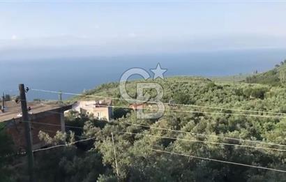 İznik Gölü Manzaralı Satılık İmarlı Arsa