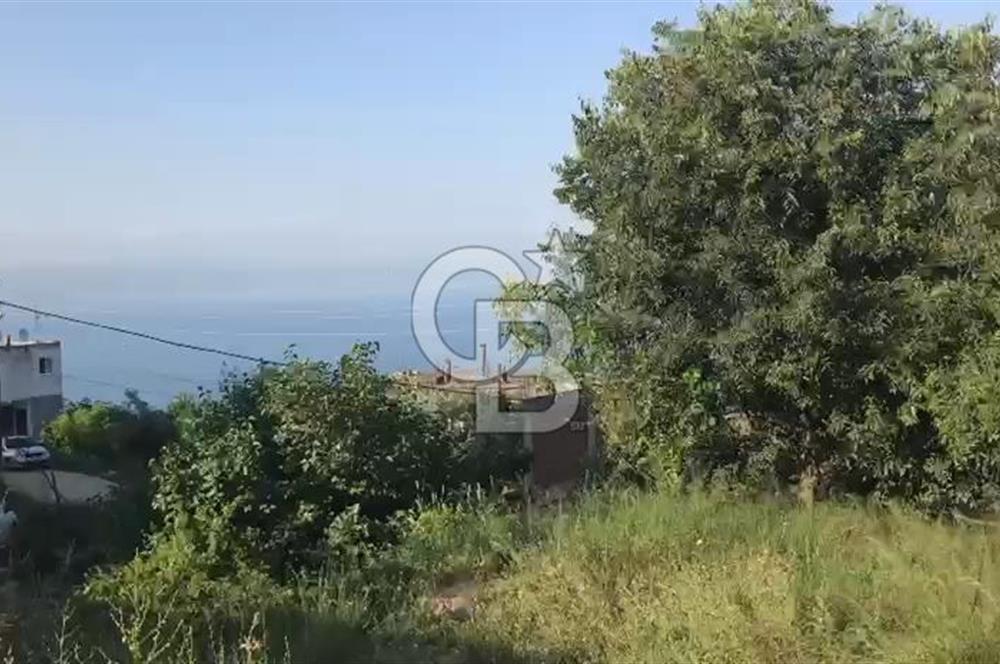 İznik Gölü Manzaralı Satılık İmarlı Arsa