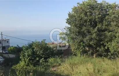 İznik Gölü Manzaralı Satılık İmarlı Arsa