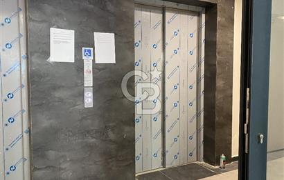 Okmeydanı Fetihtepe Yeni Okmeydanı Konutları Kiralık 2+1 Daire
