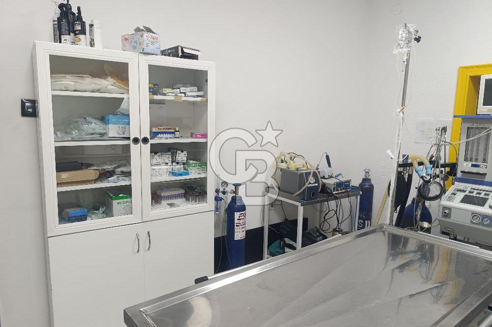 Gordion Alışveriş merkezi yakını 4+1 Satılık Villa