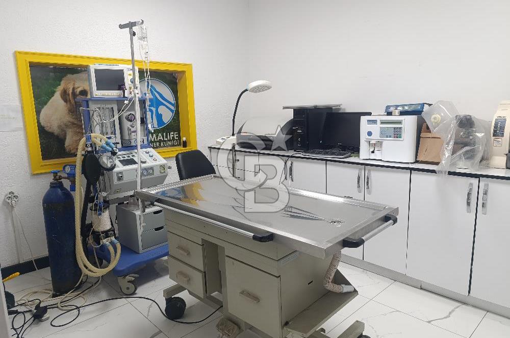 Gordion Alışveriş merkezi yakını 4+1 Satılık Villa