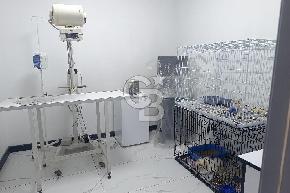 Gordion Alışveriş merkezi yakını 4+1 Satılık Villa
