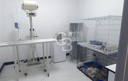 Gordion Alışveriş merkezi yakını 4+1 Satılık Villa