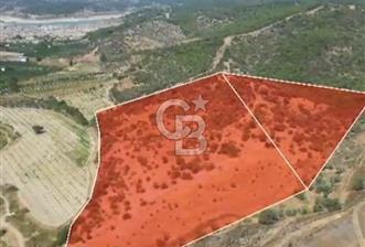 SEFERİHİSAR GELİŞİM AKSINDA 76 DÖNÜM TEK PARÇA YATIRIMLIK ARAZİ - 1 - 355108