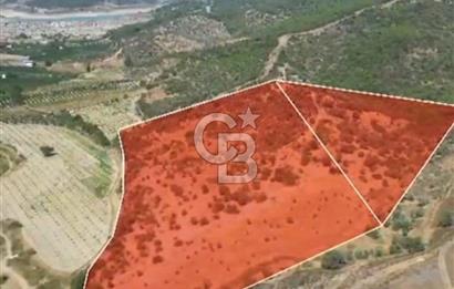 SEFERİHİSAR GELİŞİM AKSINDA 76 DÖNÜM TEK PARÇA YATIRIMLIK ARAZİ