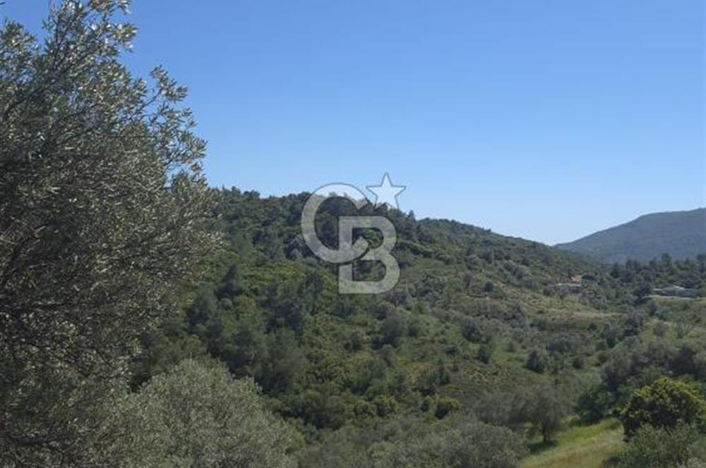 SEFERİHİSAR GELİŞİM AKSINDA 76 DÖNÜM TEK PARÇA YATIRIMLIK ARAZİ