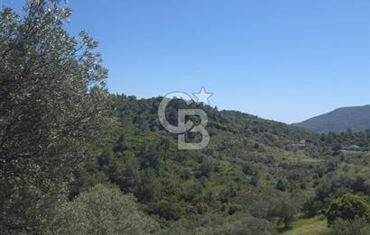 SEFERİHİSAR GELİŞİM AKSINDA 76 DÖNÜM TEK PARÇA YATIRIMLIK ARAZİ