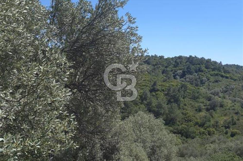 SEFERİHİSAR GELİŞİM AKSINDA 76 DÖNÜM TEK PARÇA YATIRIMLIK ARAZİ