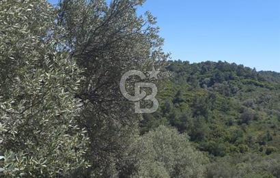 SEFERİHİSAR GELİŞİM AKSINDA 76 DÖNÜM TEK PARÇA YATIRIMLIK ARAZİ