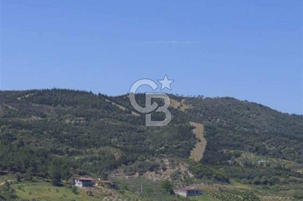 SEFERİHİSAR GELİŞİM AKSINDA 76 DÖNÜM TEK PARÇA YATIRIMLIK ARAZİ