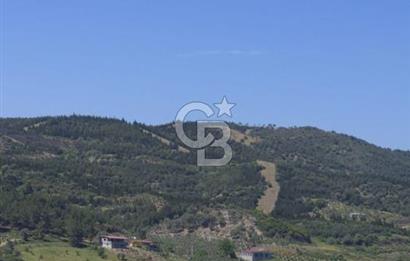 SEFERİHİSAR GELİŞİM AKSINDA 76 DÖNÜM TEK PARÇA YATIRIMLIK ARAZİ