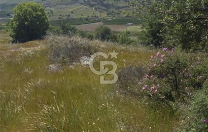 SEFERİHİSAR GELİŞİM AKSINDA 76 DÖNÜM TEK PARÇA YATIRIMLIK ARAZİ