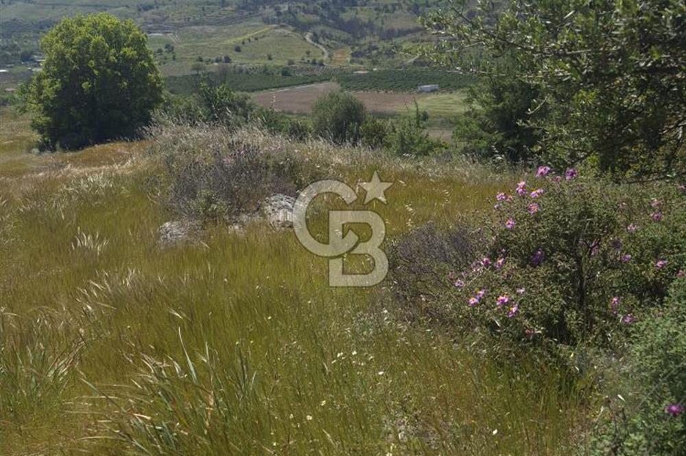 SEFERİHİSAR GELİŞİM AKSINDA 76 DÖNÜM TEK PARÇA YATIRIMLIK ARAZİ