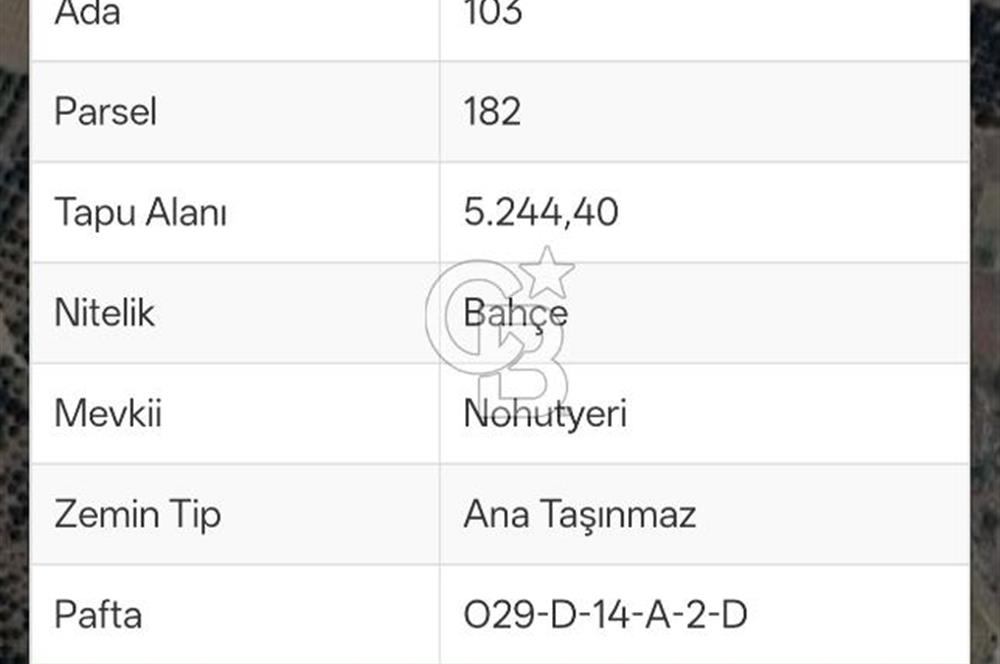 Sarıveliler Uğurlu'da 200+ Ağaçlı, Full verimli SATILIK BAHÇE