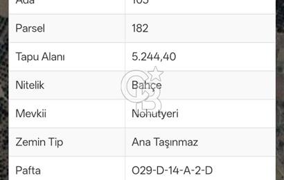 Sarıveliler Uğurlu'da 200+ Ağaçlı, Full verimli SATILIK BAHÇE