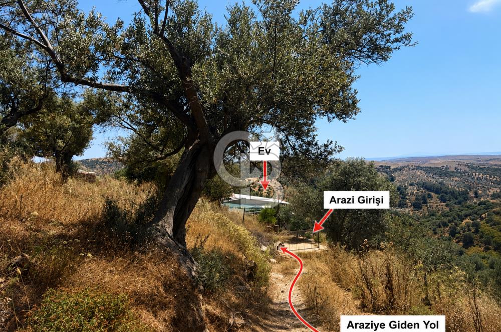 Ulamışın Doğasında Yaşam Alanı Hazır 10.226m2 Yatırım Arazisi