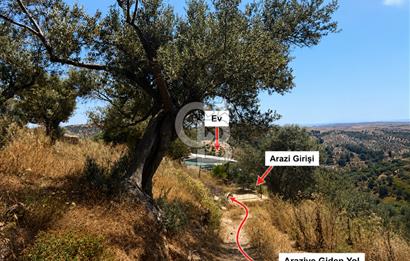 Ulamışın Doğasında Yaşam Alanı Hazır 10.226m2 Yatırım Arazisi