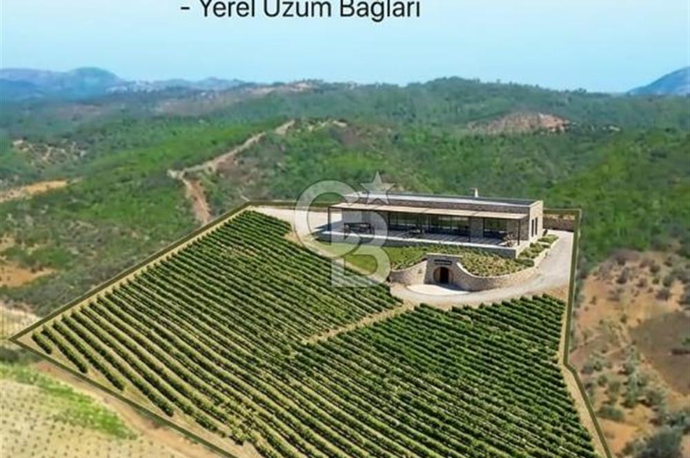 SEFERİHİSAR GELİŞİM AKSINDA 76 DÖNÜM TEK PARÇA YATIRIMLIK ARAZİ