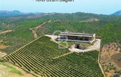 SEFERİHİSAR GELİŞİM AKSINDA 76 DÖNÜM TEK PARÇA YATIRIMLIK ARAZİ