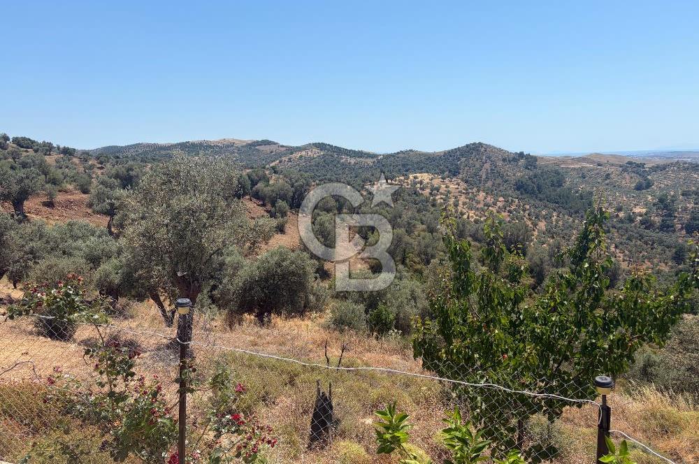 Ulamışın Doğasında Yaşam Alanı Hazır 10.226m2 Yatırım Arazisi