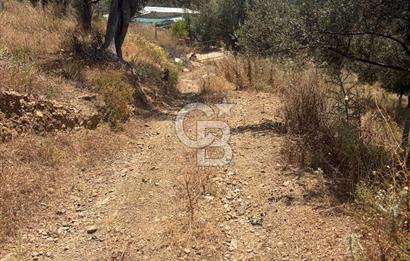 Ulamışın Doğasında Yaşam Alanı Hazır 10.226m2 Yatırım Arazisi