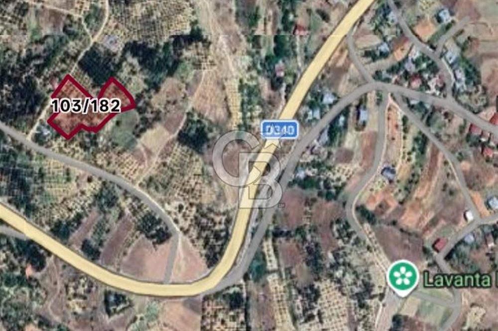 Sarıveliler Uğurlu'da 200+ Ağaçlı, Full verimli SATILIK BAHÇE