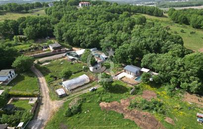 Gebze Cumaköy'de 302M2, Orman İçerisinde Havuzlu Müstakil Ev.