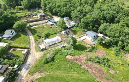Gebze Cumaköy'de 302M2, Orman İçerisinde Havuzlu Müstakil Ev.