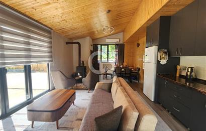 Gebze Cumaköy'de 302M2, Orman İçerisinde Havuzlu Müstakil Ev.
