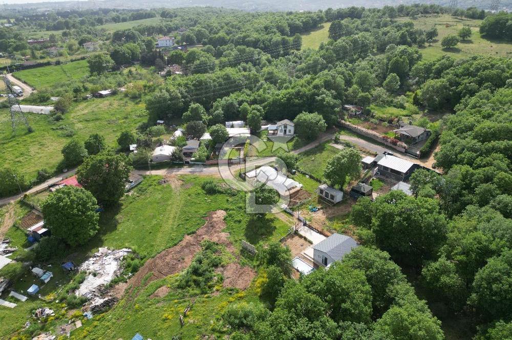 Gebze Cumaköy'de 302M2, Orman İçerisinde Havuzlu Müstakil Ev.