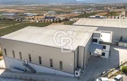 İzmir İTOB OSB'de yüksek tavanlı Prestijli Üretim Tesisi