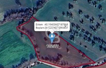 ÇANAKKALE MERKEZ MUSAKÖY'DE SATILIK TARLA