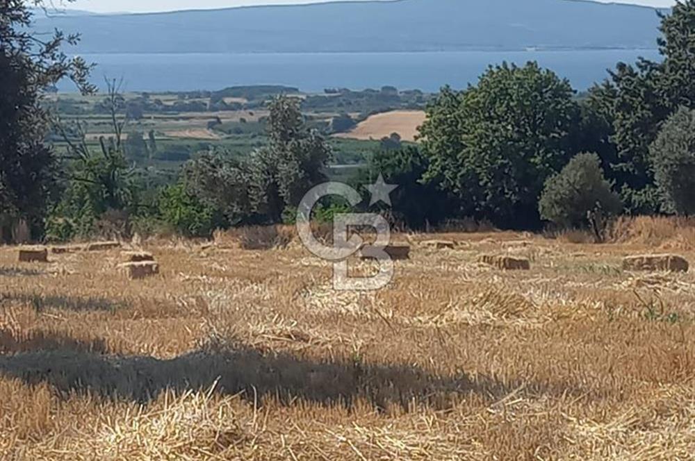 ÇANAKKALE MERKEZ MUSAKÖY'DE SATILIK TARLA