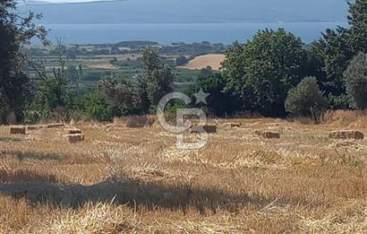ÇANAKKALE MERKEZ MUSAKÖY'DE SATILIK TARLA