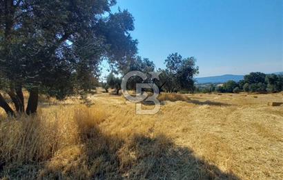ÇANAKKALE MERKEZ MUSAKÖY'DE SATILIK TARLA