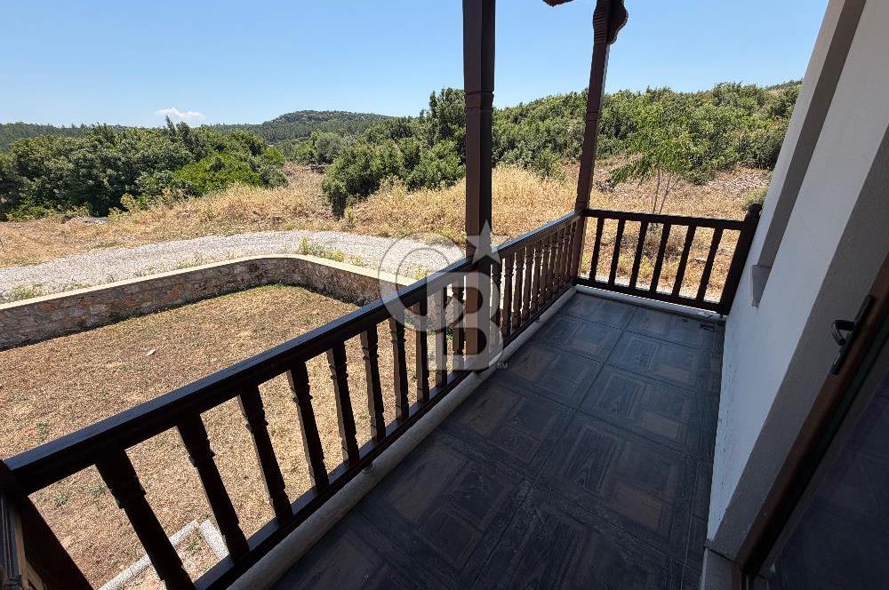 Muğla ula kızılağaç