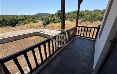 Muğla ula kızılağaç