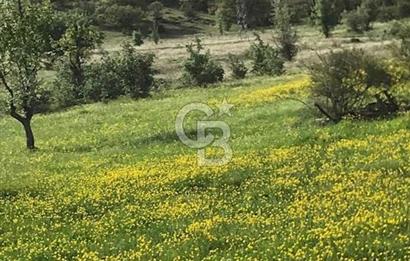 ÇAMLIDERE BEYLER MAH. KAFKAS EVLERİNDE SATILIK DUBLEKS VİLLA