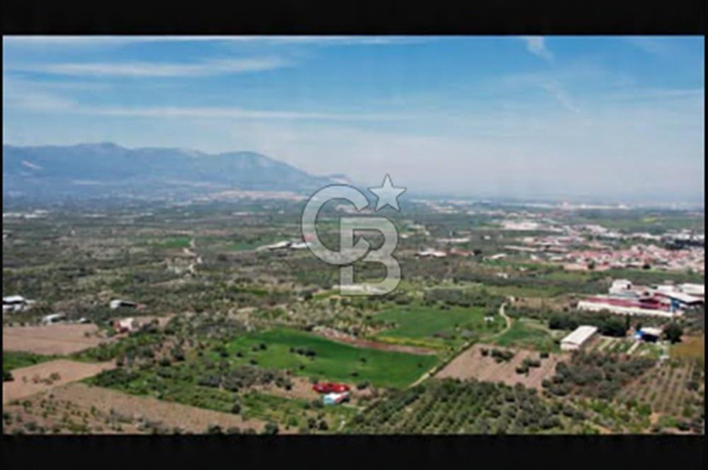 İzmir Kemalpaşa Halilbeyli’de  satılık tarla