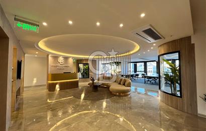 MALTEPE D100 CEPHELİ | 360° DENİZ VE ADALAR MANZARALI | TAM KAT PRESTİJLİ PLAZA OFİSİ