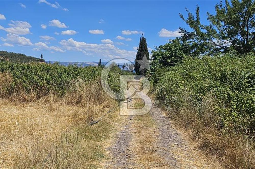 YALOVA ALTINOVA KAYTAZDERE DE UYGUN FİYATA SATLIK 7561 M2 TARLA!