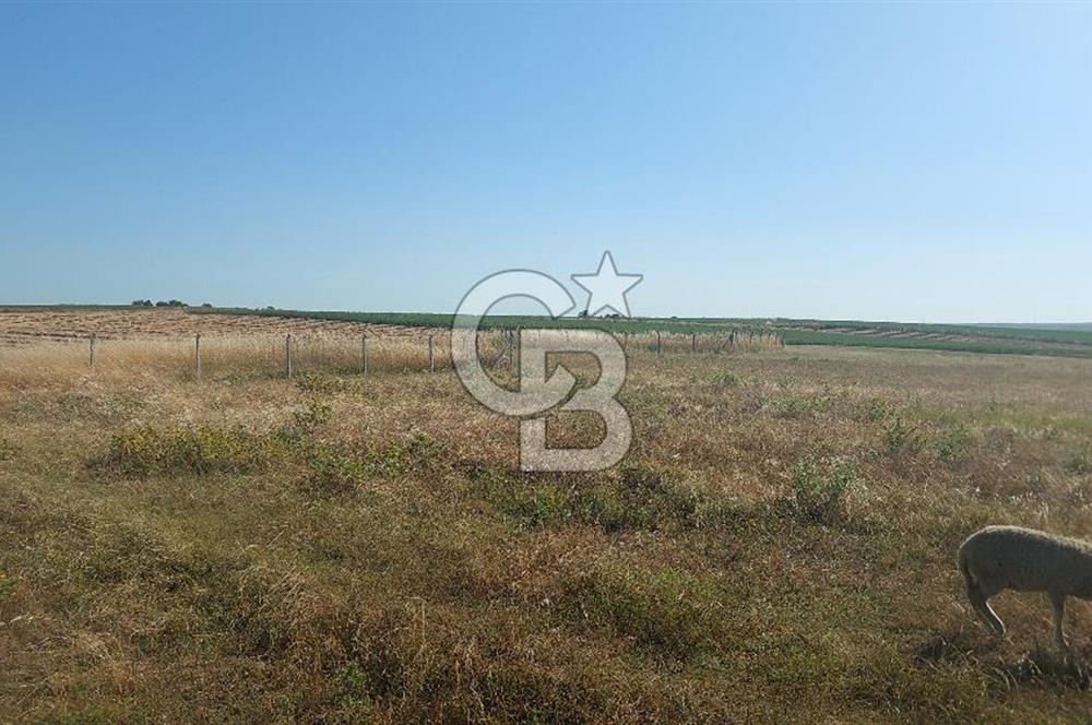 Tekirdağ Ergene Marmaracık'ta satılık 400 m2 Konut Arsası