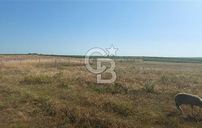 Tekirdağ Ergene Marmaracık'ta satılık 400 m2 Konut Arsası